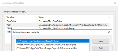 Windows environment variable setup GUI
